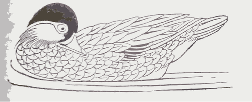 Clipart kaczki pływanie i patrząc z tyłu
